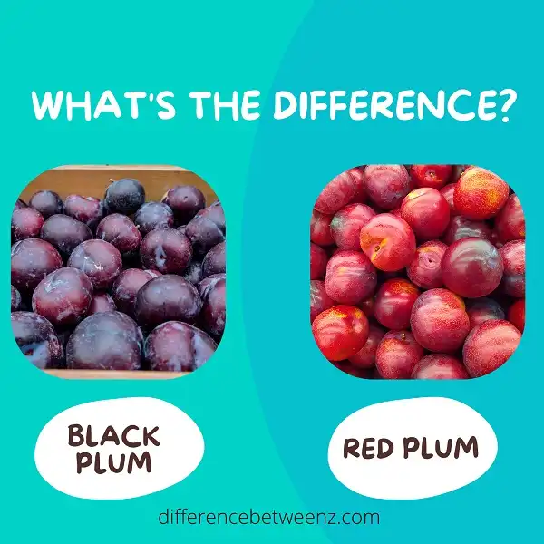 Difference between Black and Red Plums