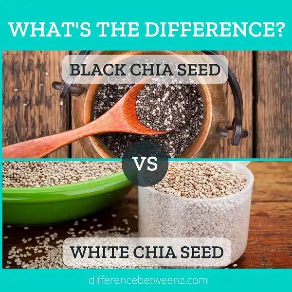 Difference between Black and White Chia Seeds