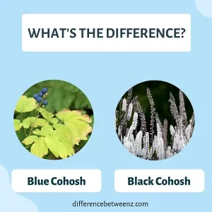 Difference between Blue Cohosh and Black Cohosh