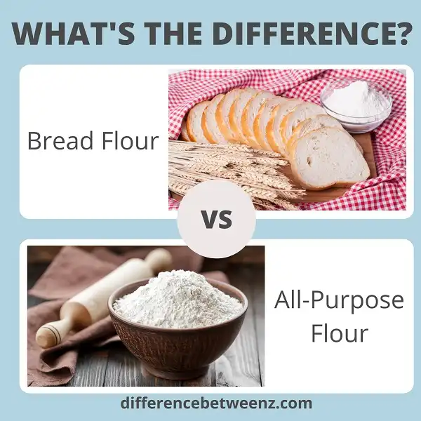 Difference Between Bread Flour And All-Purpose Flour - Difference Betweenz