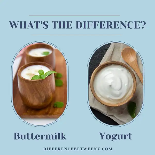 Difference between Buttermilk and Yogurt