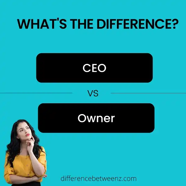 Difference between CEO and Owner