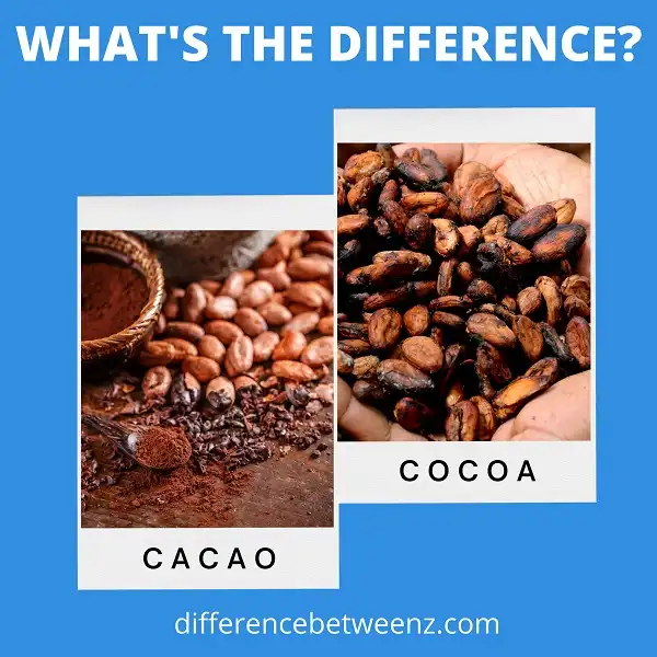 Difference between Cacao and Cocoa