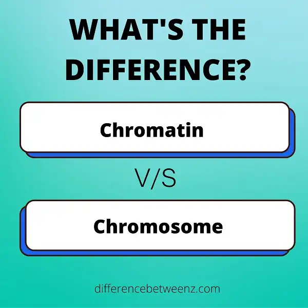Difference between Chromatin and Chromosomes