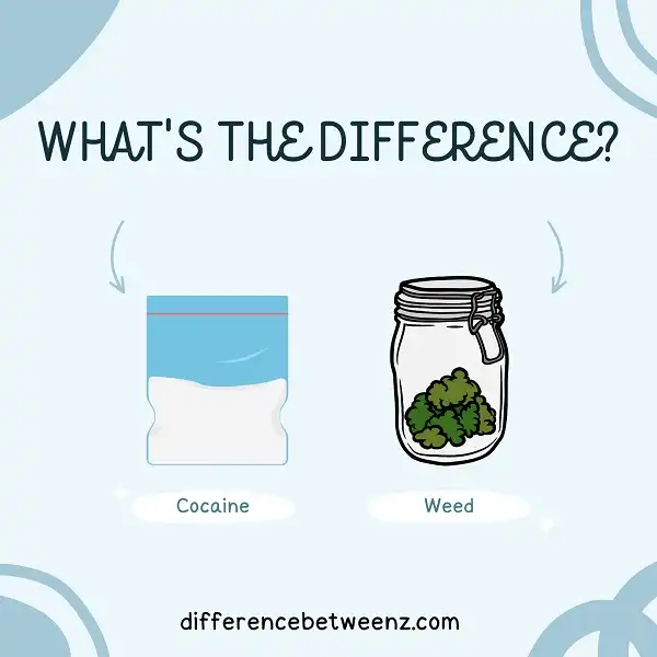 Difference between Cocaine and Weed