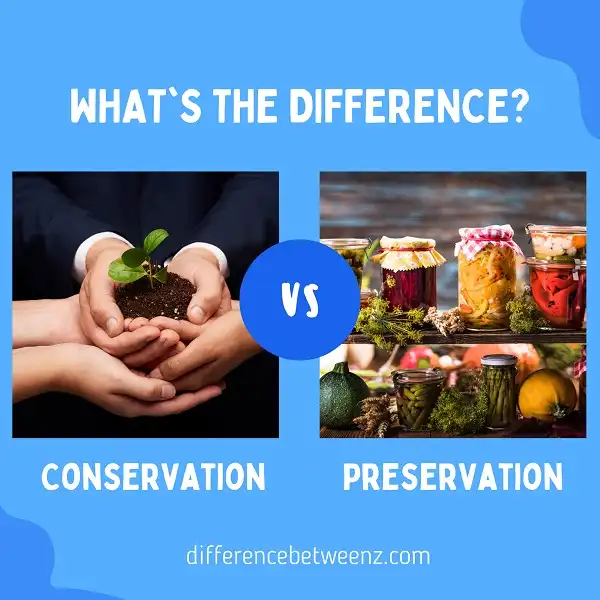 difference-between-conservation-and-preservation-difference-betweenz