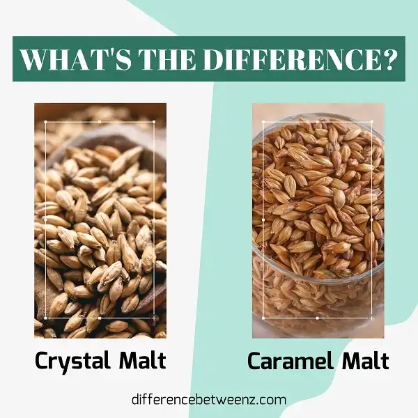 Difference between Crystal Malt and Caramel Malt