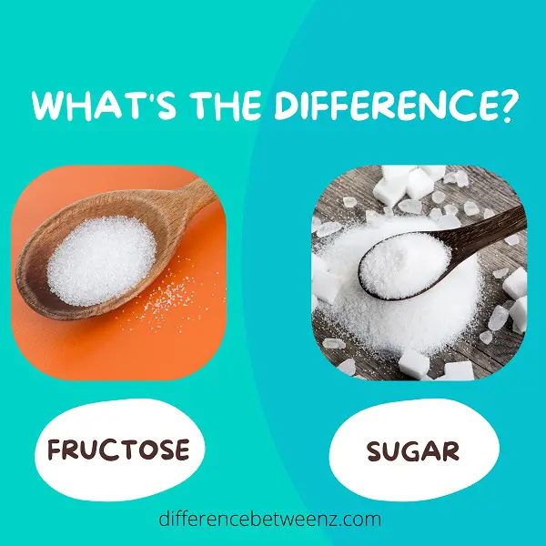 Difference between Fructose and Sugar