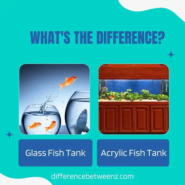 Difference between Glass and Acrylic Fish Tanks