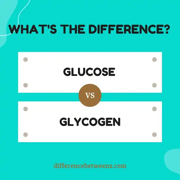 Difference between Glucose and Glycogen