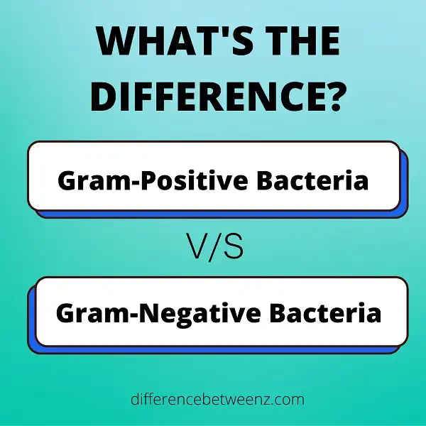 Difference between Gram-Positive and Gram-Negative Bacteria