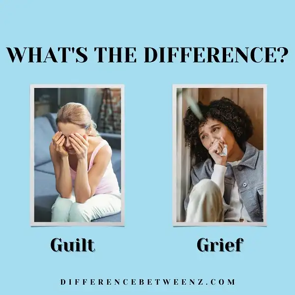 Difference between Guilt and Grief