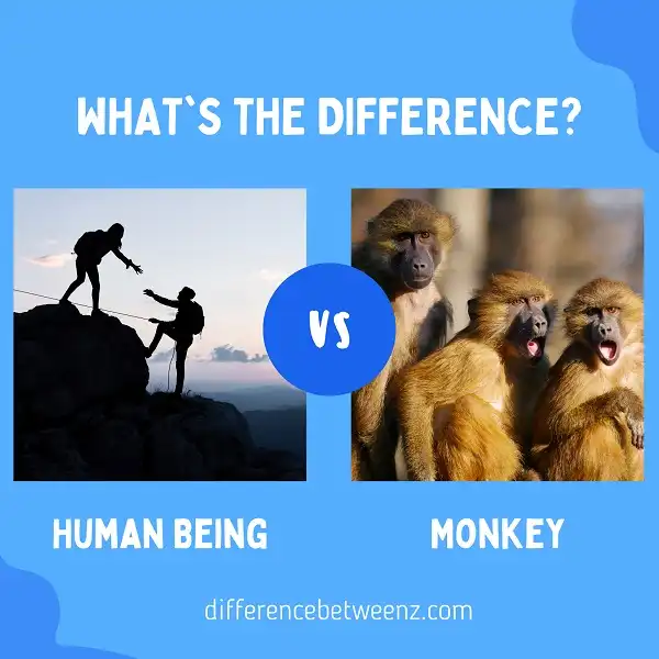 Difference between Human Beings and Monkeys