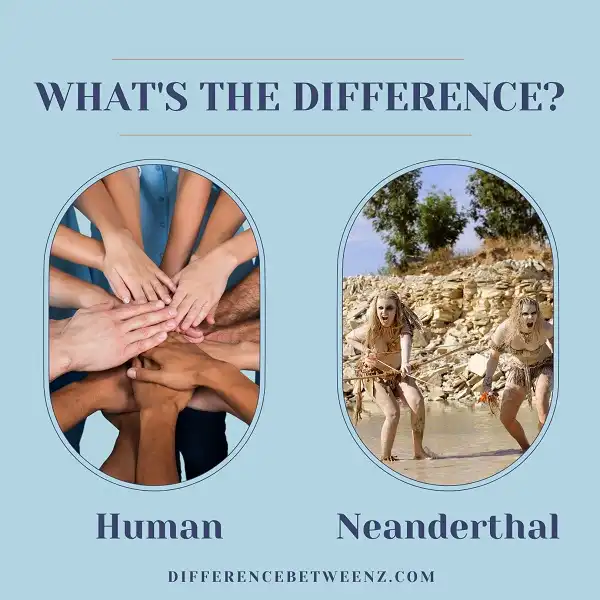 Difference between Human and Neanderthal