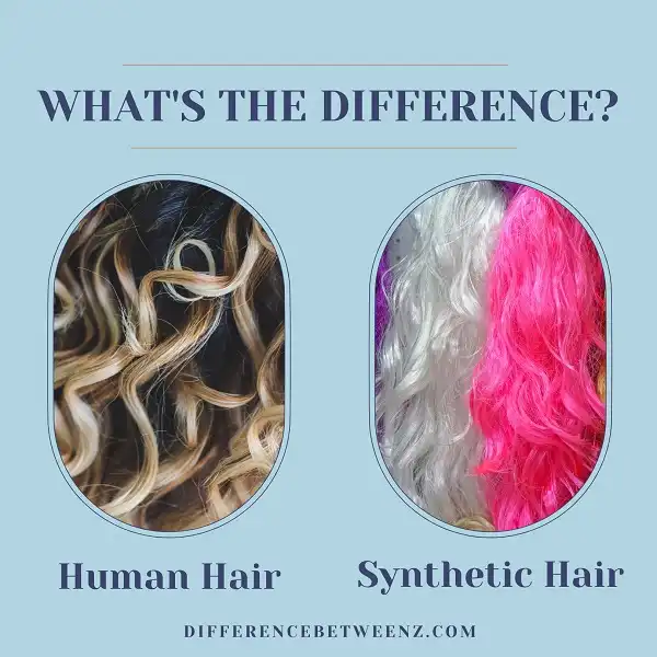 Difference between Human and Synthetic Hair