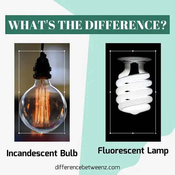 Difference between Incandescent Bulbs and Fluorescent Lamps