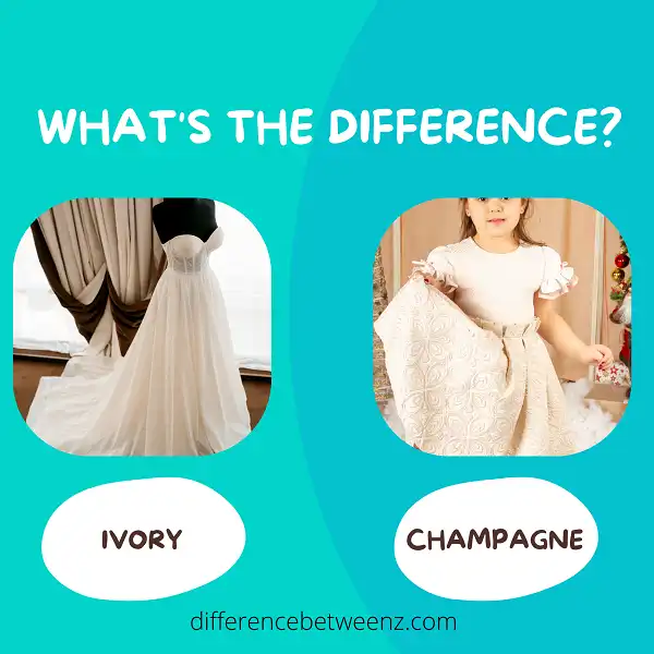 Difference between Ivory and Champagne