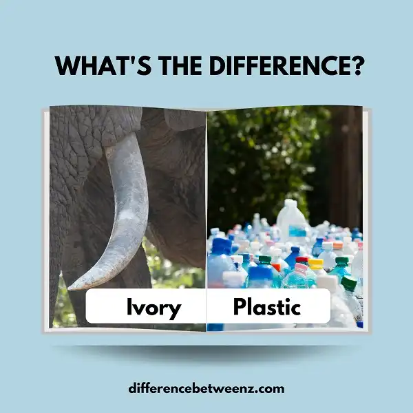 Difference between Ivory and Plastic