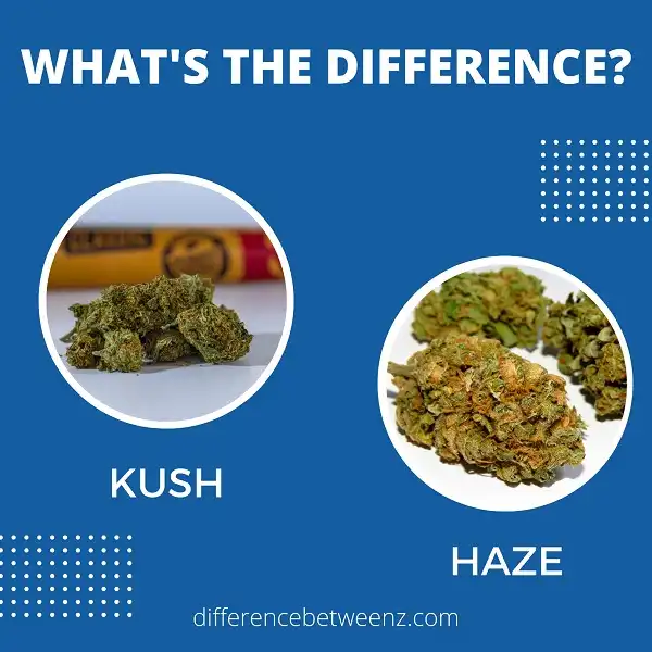 Difference between Kush and Haze