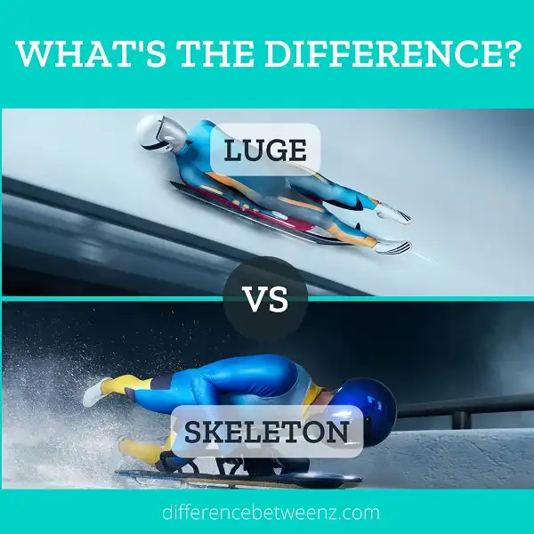 Difference between Luge and Skeleton