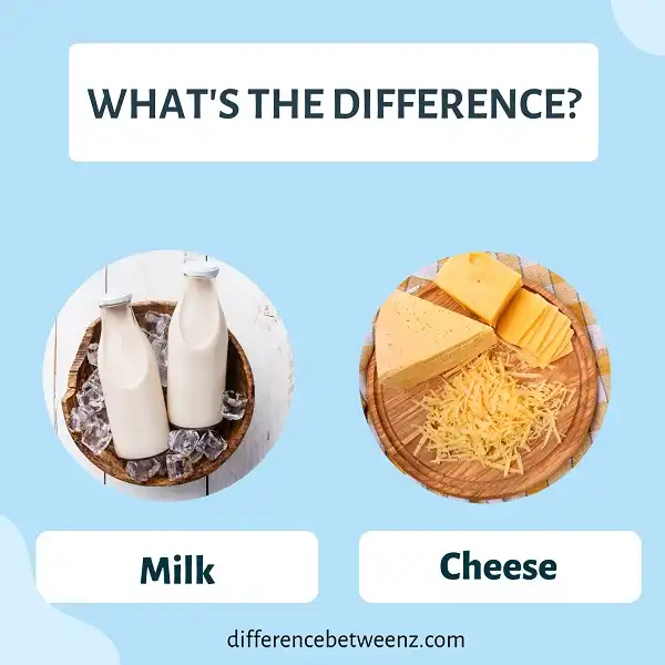 Difference between Milk and Cheese