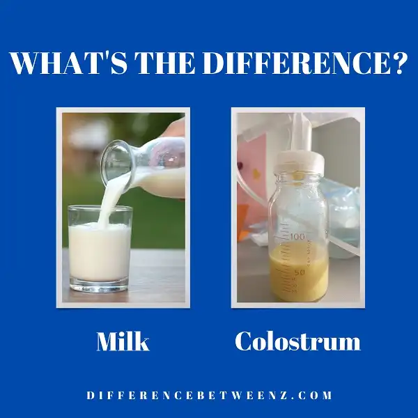 Difference between Milk and Colostrums