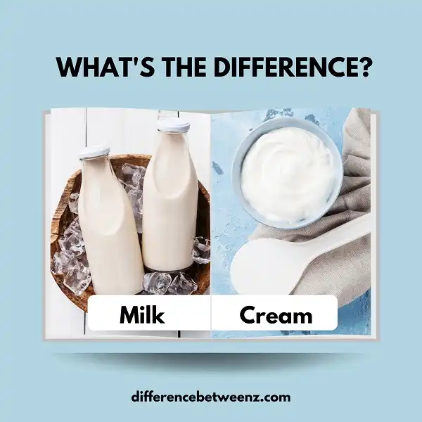 Difference between Milk and Cream