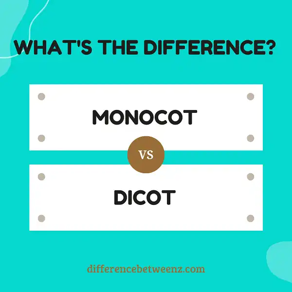 Difference between Monocots and Dicots
