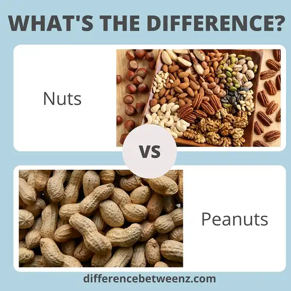 Difference between Nuts and Peanuts