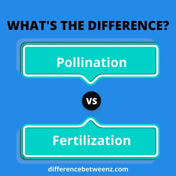 Difference between Pollination and Fertilization