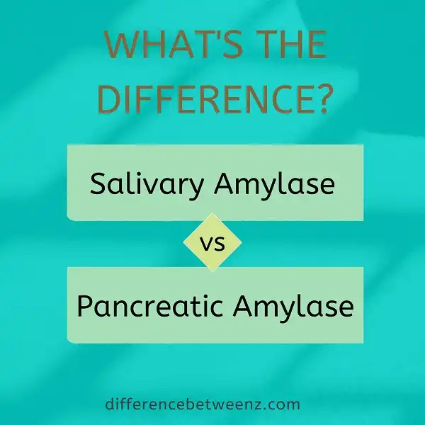 Difference between Salivary and Pancreatic Amylase