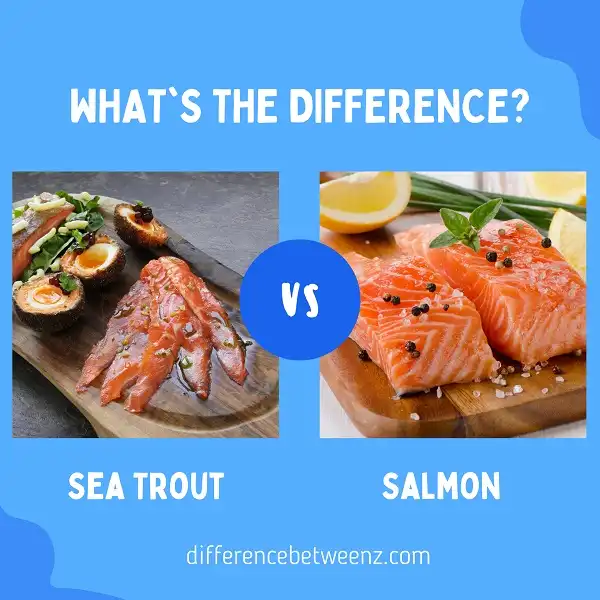 Difference between Sea Trout and Salmon