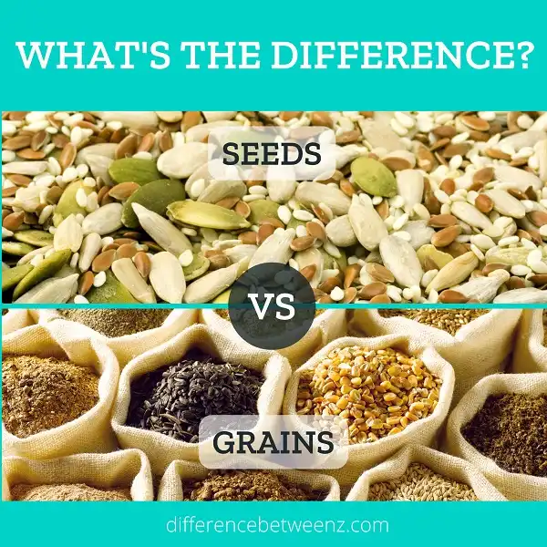 Difference between Seeds and Grains