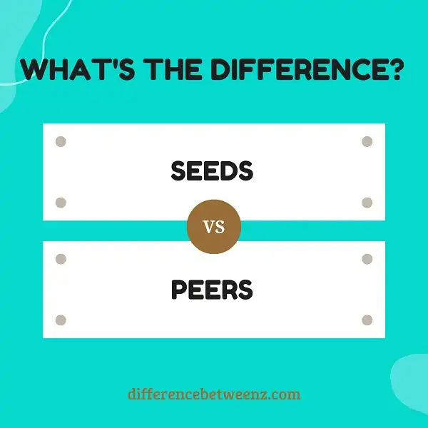 Difference between Seeds and Peers