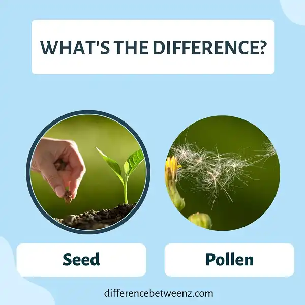 Difference between Seeds and Pollen