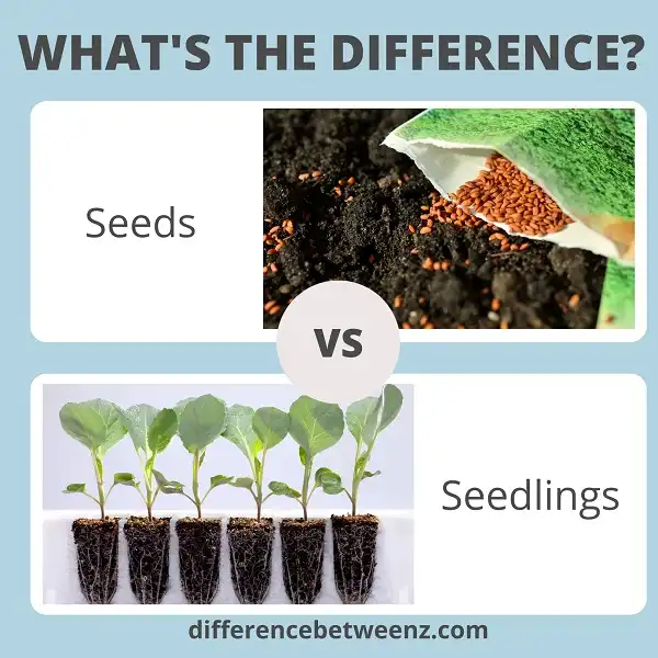 Difference between Seeds and Seedlings