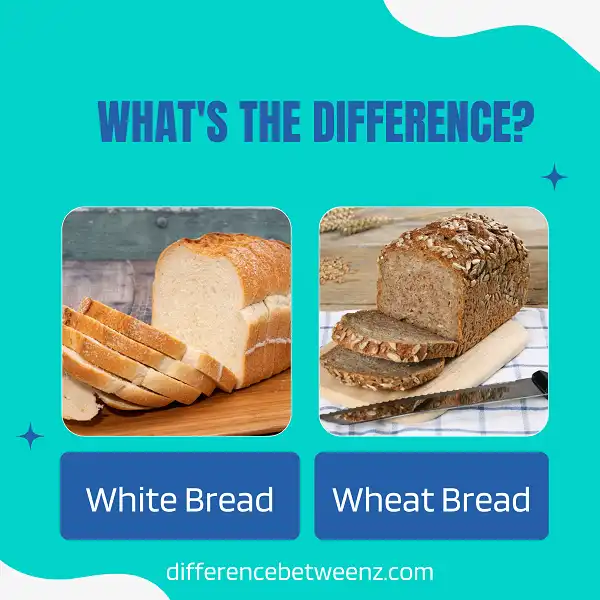 Difference between White Bread and Wheat Bread
