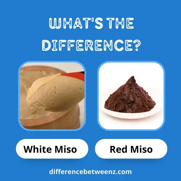 Difference between White Miso and Red Miso