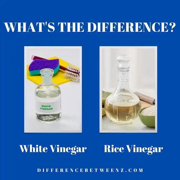 Difference between White Vinegar and Rice Vinegar