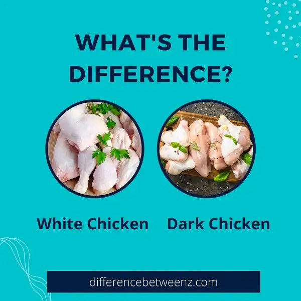 Difference between White and Dark Chicken