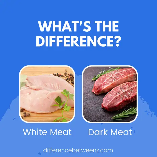 Difference between White and Dark Meat