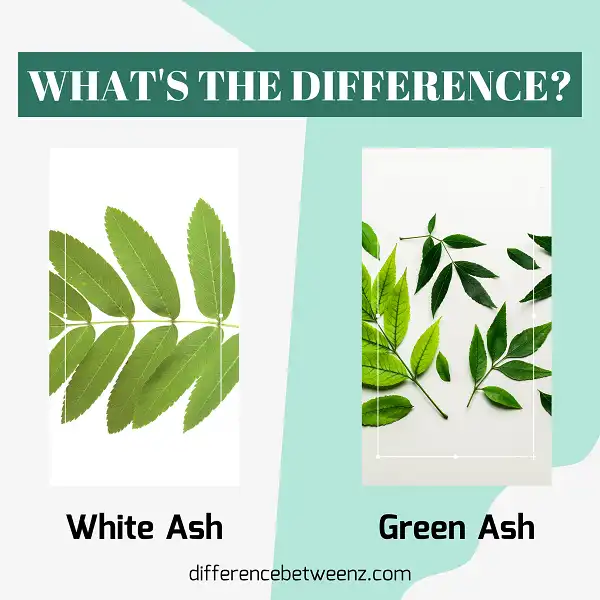 Difference between White and Green Ash
