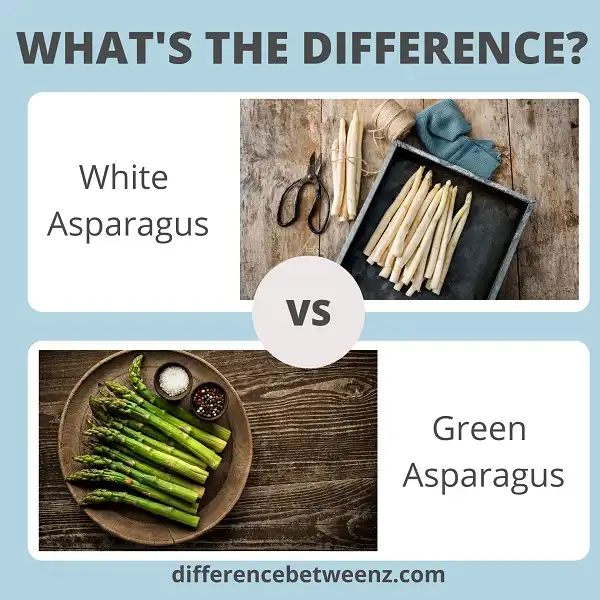 Difference between White and Green Asparagus