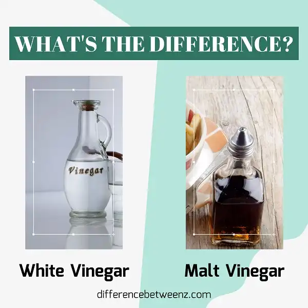 Difference between White and Malt Vinegar
