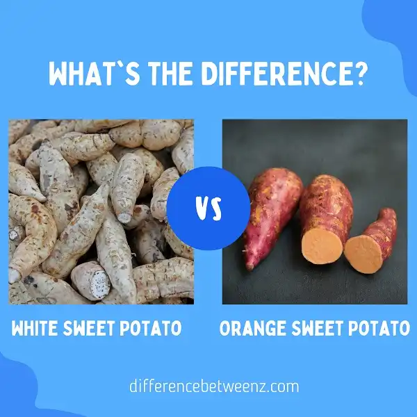 Difference between White and Orange Sweet Potato