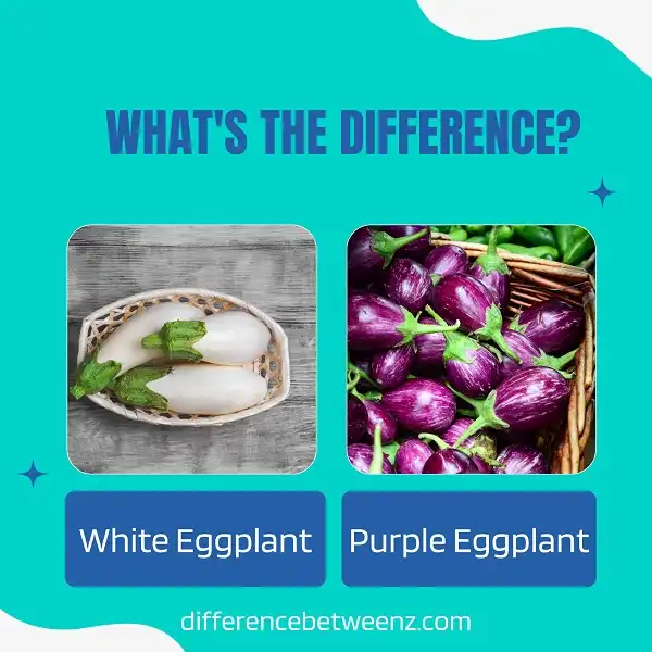 Difference between White and Purple Eggplant