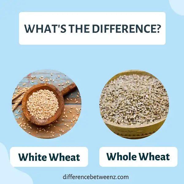 Difference between White and Whole Wheat