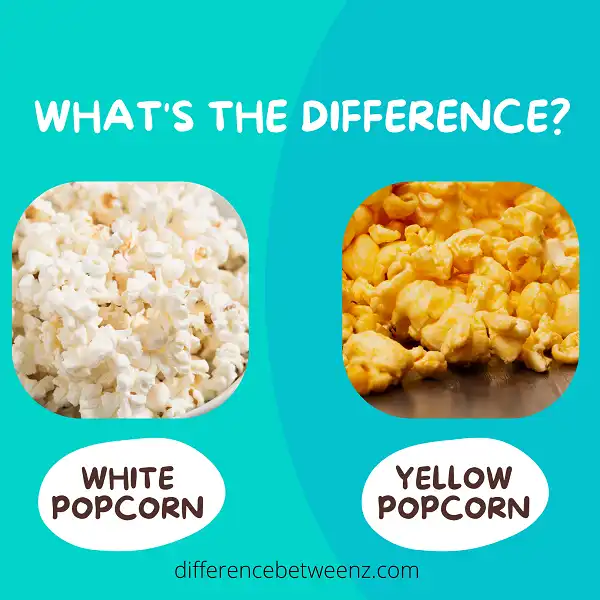 Difference between White and Yellow Popcorn