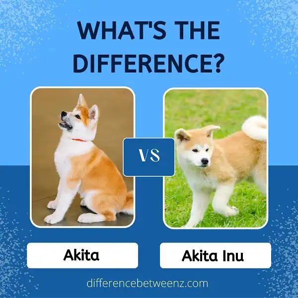Difference between Akita and Akita Inu