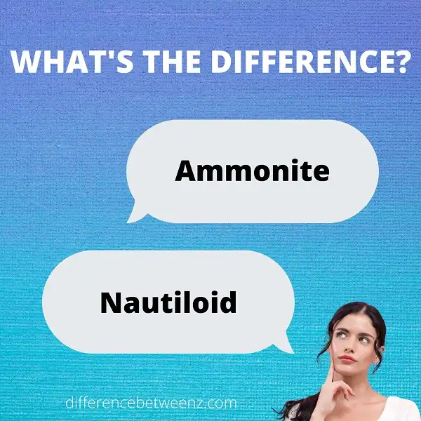 Difference between Ammonities and Nautiloids